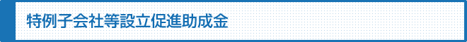 特例子会社等設立促進助成金